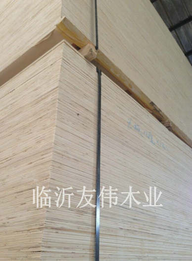 異形托盤板不可貌相，發(fā)展前景不可限量